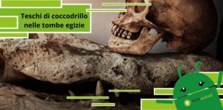 Antico Egitto, trovate teste di coccodrillo nelle tombe egizie