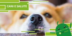 Cani, questo particolare è la spia della loro salute