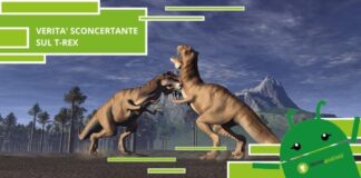 Dinosauri, il T-Rex è molto più intelligente di quanto si creda