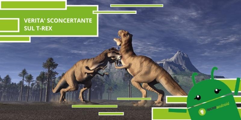 Dinosauri, il T-Rex è molto più intelligente di quanto si creda