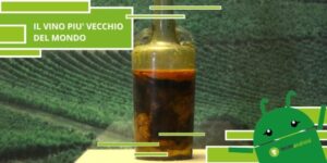 Vino, bere dalla bottiglia più antica del mondo è pericoloso