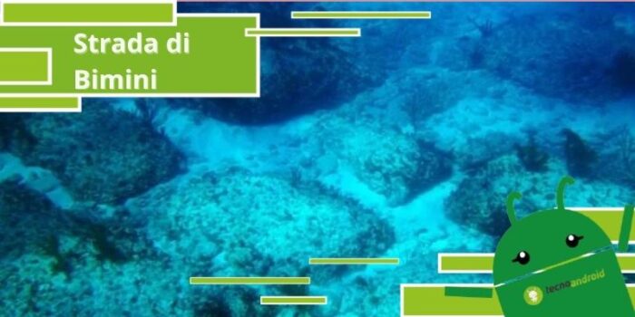 Fondali marini, ecco dove conduce la strana strada trovata in mare