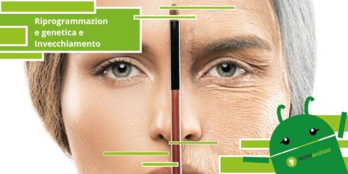 Riprogrammazione genetica, la tecnologia che allunga la vita delle persone