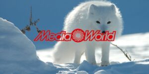 mediaworld