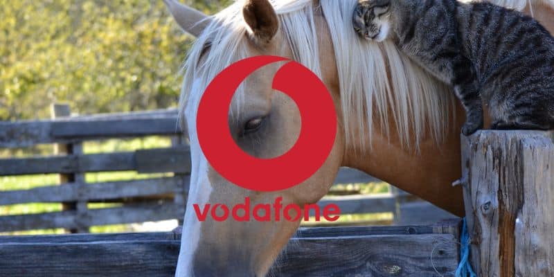 Vodafone, offerta shock con tanti giga quasi gratis