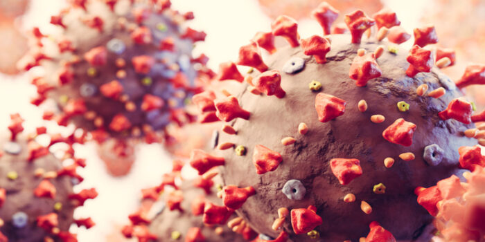Scoperto il primo organismo che mangia i virus