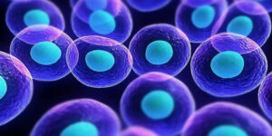 cellule-movimento-scoperta-svelare