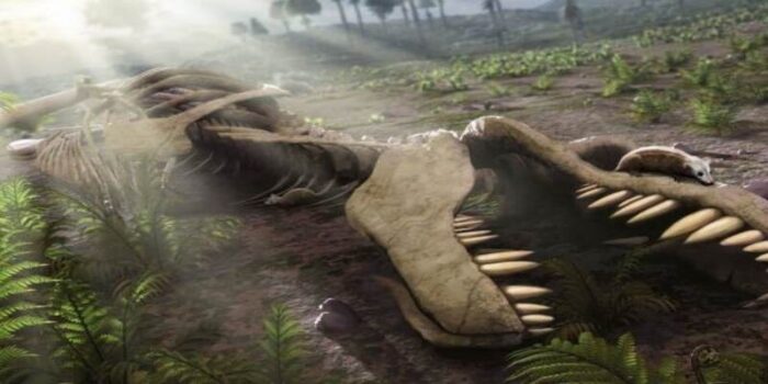 dinosauri mangiavano le prede