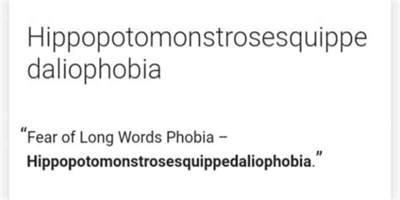 ippopotomonstrosesquippedaliofobia