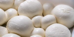 mozzarella-da-supermercato-quale-la-migliore-secondo-gli-utenti