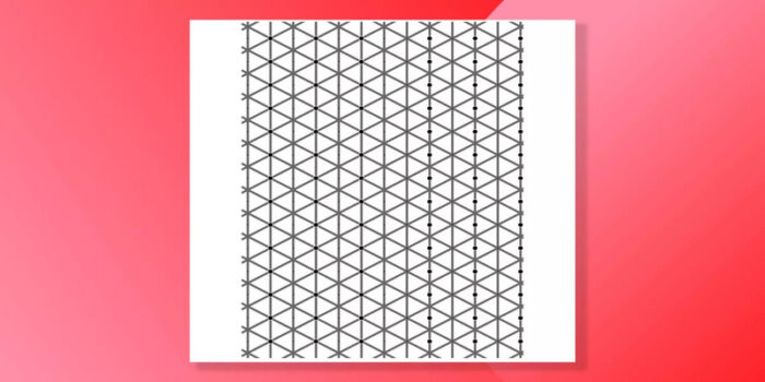 siete-convinti-di-risolvere-questa-illusione-ottica-provateci-in-10-secondi