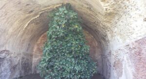 Fico capovolto delle terme di Baia