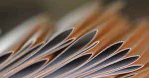 Libretto postale, documenti storici che possono valere moltissimo