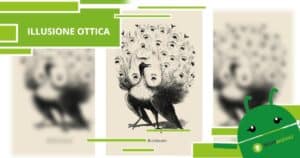 Illusione Ottica, se trovi l'elemento nascosto nel pavone puoi reputarti molto intelligente