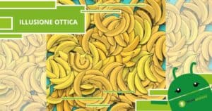 Illusione Ottica, è nascosto molto bene ma tra le banane c'è un serpente