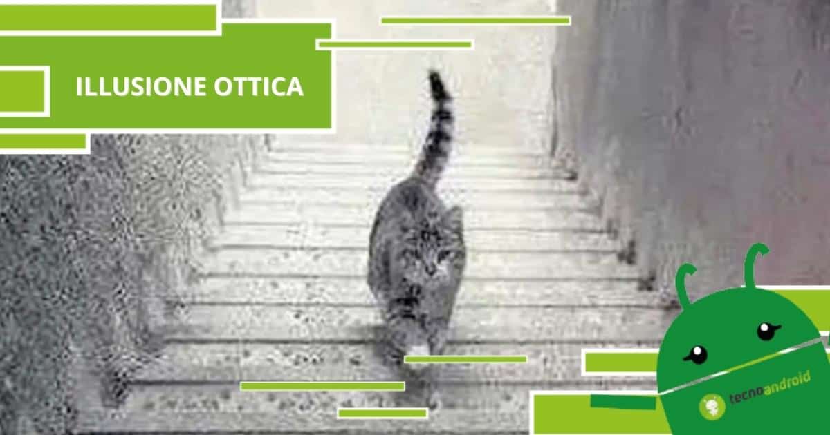 Illusione Ottica, questo gatto sulle scale farà impazzire la vostra vista