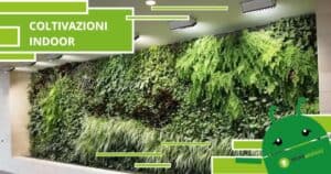 Coltivazione Indoor, grazie alla tecnologia ora è possibile avere l'orto in casa