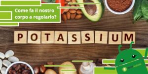 Potassio, i matematici spiegano perché il macroelemento potrebbe ucciderci