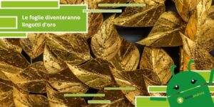 Crisi ambientale, presto sarà più preziosa una foglia d'albero che un lingotto d'oro