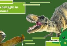 Dinosauri, è assurdo ma i T-Rex e i bradipi hanno una cosa in comune