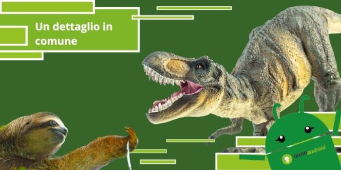 Dinosauri, è assurdo ma i T-Rex e i bradipi hanno una cosa in comune