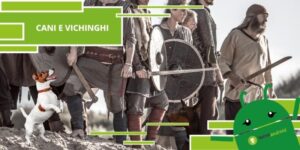 Vichinghi, cani e cavalli erano già i migliori amici dell'uomo