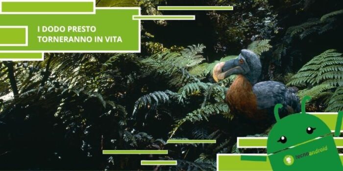 Uccelli, presto il Dodo tornerà in vita grazie ad un esperimento da 150 milioni di dollari