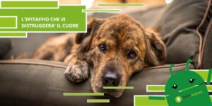 Cani e padroni, un legame indissolubile che pone le sue radici nell'Antica Roma