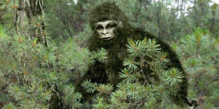 esistenza di BigFoot