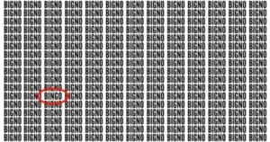 illusione ottica bingo