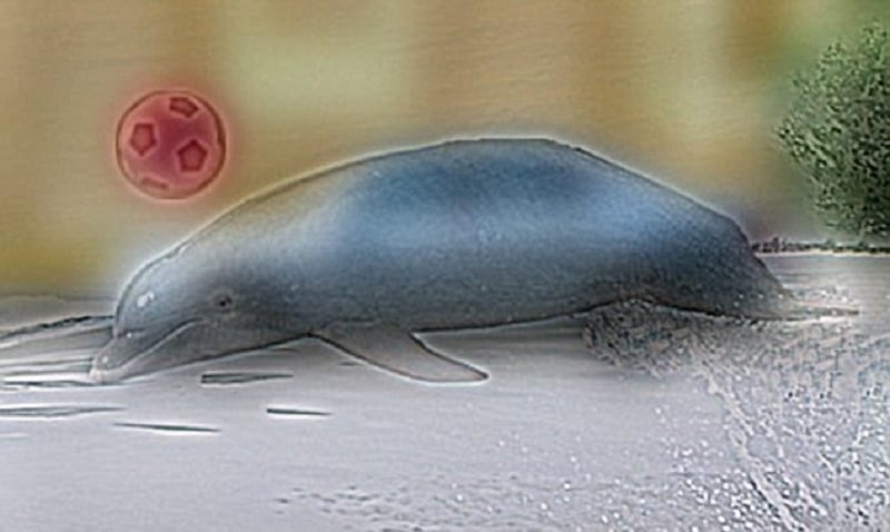 Illusione ottica ibrida