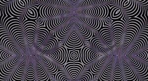 Illusioni ottiche più strane del web