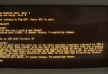 ChatGpt on IBM 1984