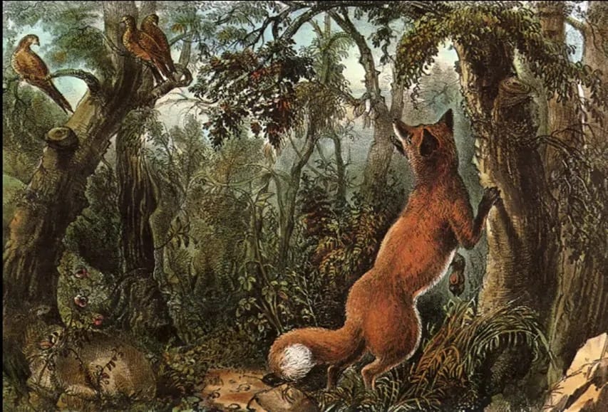 Trova i 16 animali
