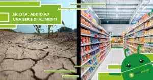 Supermercati, questi alimenti scompariranno dagli scaffali a causa della siccità