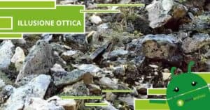 Illusione Ottica, se nella foto non vedete nulla sappiate che vi sfugge qualcosa