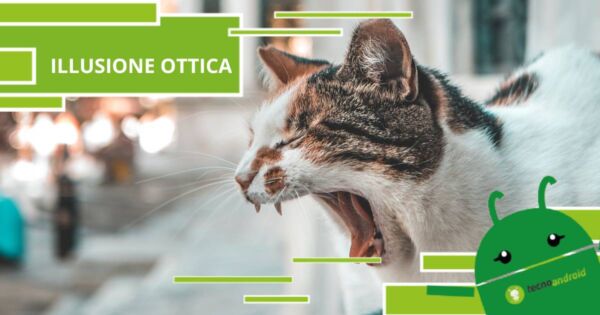 Illusione Ottica, la vita è piena di sfide ma questa è la più difficile