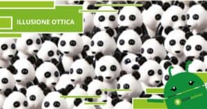 Illusione Ottica, sfida le tue abilità e cerca di trovare il cane nascosto