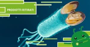 Prodotti ritirati, grave richiamo per presenza di Escherichia coli nelle vongole