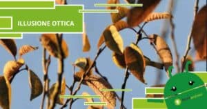Illusione Ottica, stavolta anche i più esperti faranno fatica a risolverla