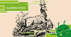 Illusione Ottica, il cervo non è l'unico animale presente in questa immagine