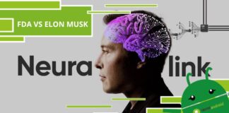 Neuralink, ad Elon Musk è stato vietato di testare il cervello umano con i chip