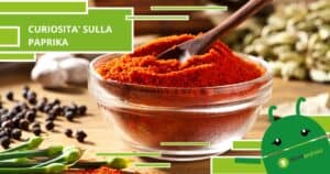 Paprika, tutto quello che non sapete sulla spezia più usata in cucina
