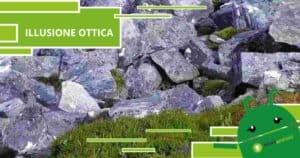 Illusione Ottica: la sfida per veri duri richiede di individuare l'uccello tra le rocce