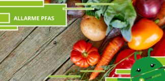 PFAS, le sostanze inquinanti potrebbero esser giunte anche negli alimenti