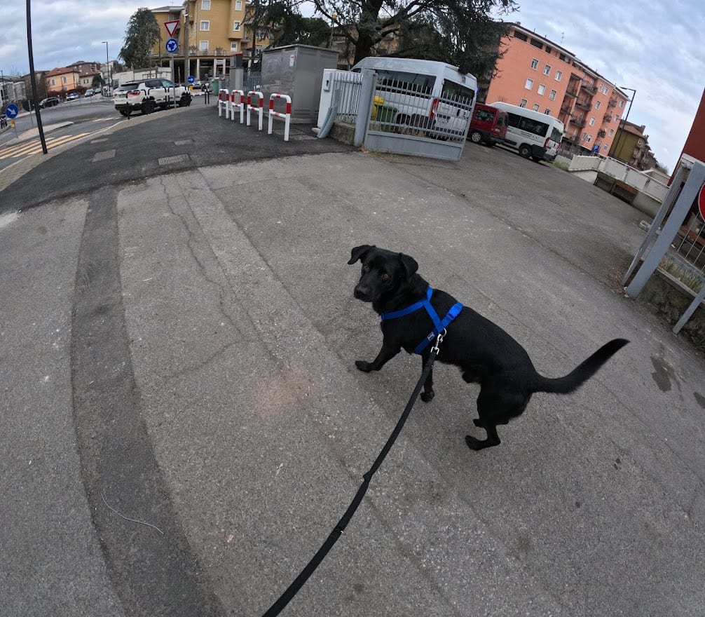GOPR7857 GoPro Hero 11