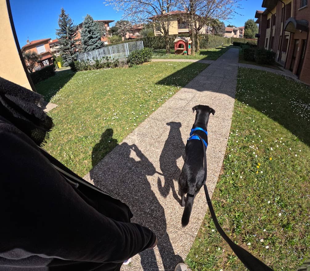 GOPR7864 GoPro Hero 11