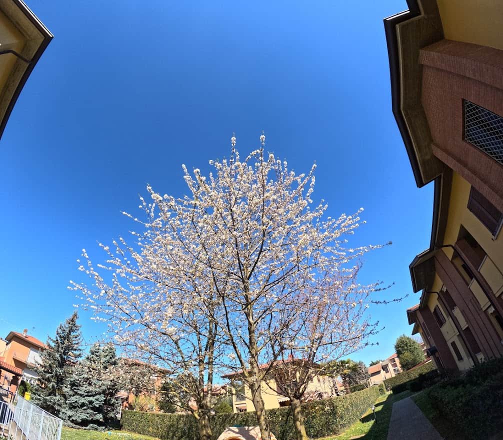 GOPR7866 GoPro Hero 11