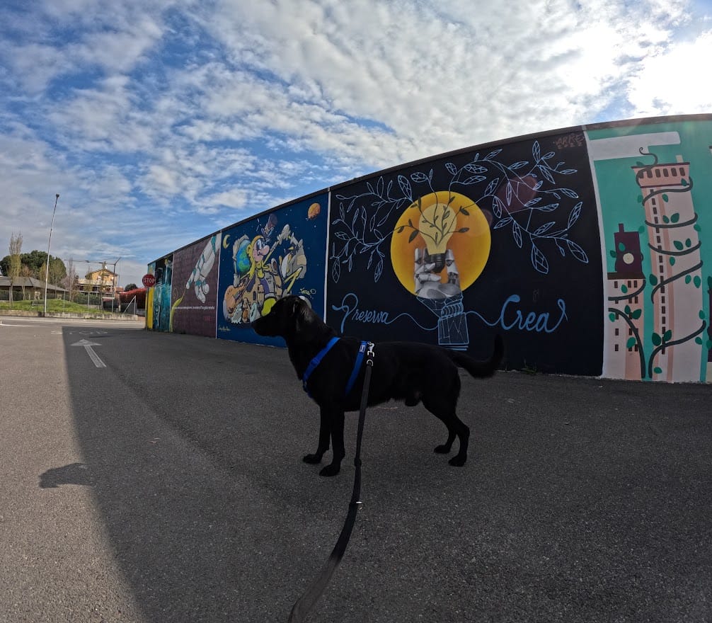 GOPR7869 GoPro Hero 11