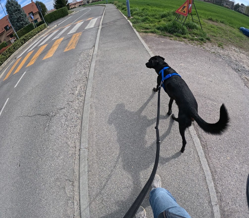 GOPR7879 GoPro Hero 11
